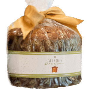 Handamade PANETTONE
